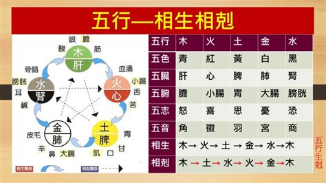 水剋火為財|五行、木、火、土、金、水、五行相生相剋、五行相生。